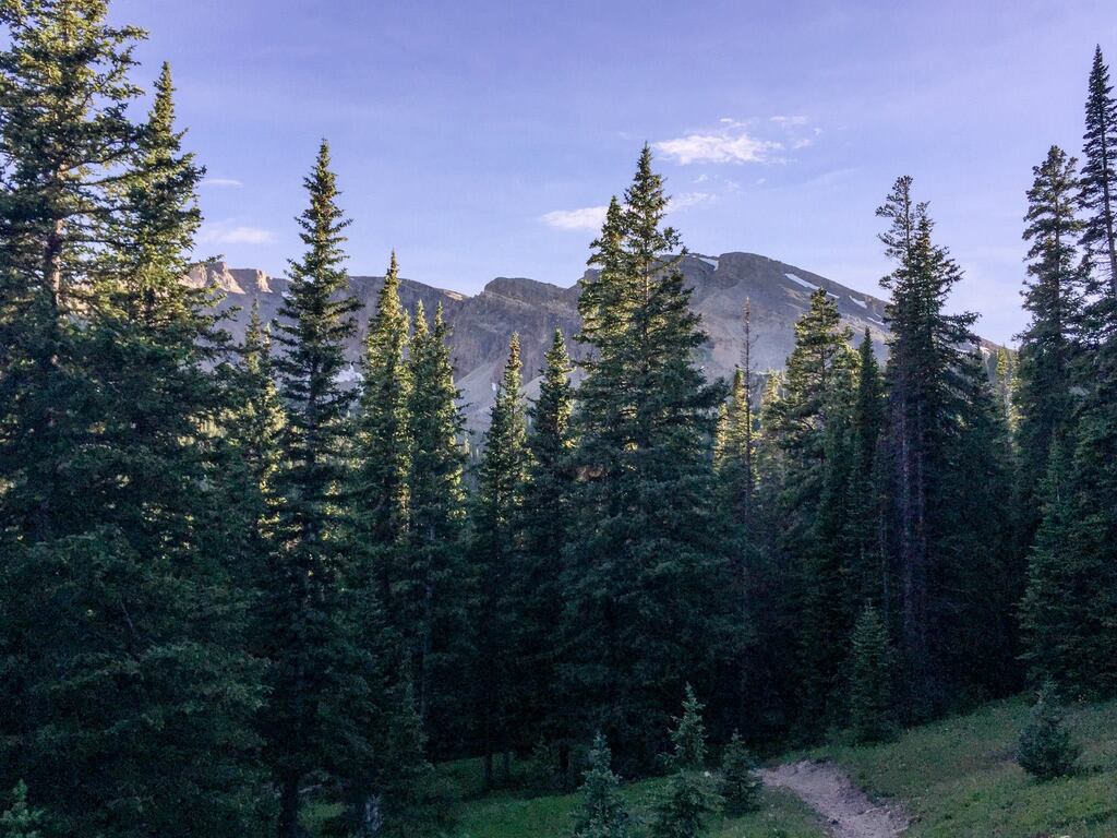 CO 200 Trail Race Course